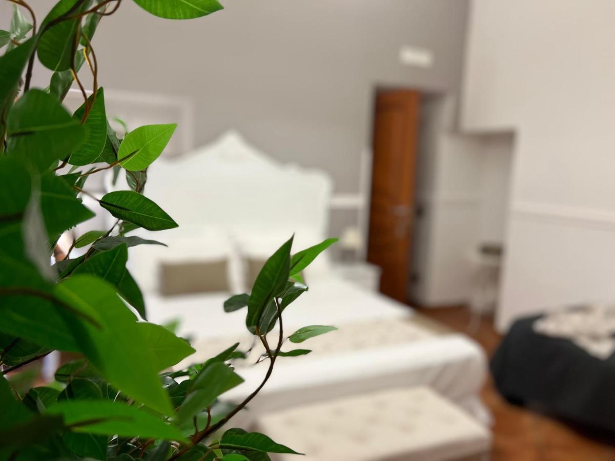 Miluar - Centro Storico - Lungo La Via Della Musica Bed & Breakfast Наполи Екстериор снимка
